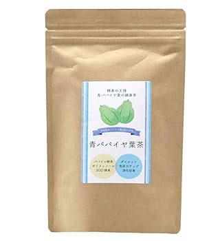 青パパイヤ茶 300g 山梨県産 パパイヤ茶 青パパイヤ 2g×30パック入り ティーバッグ ノン